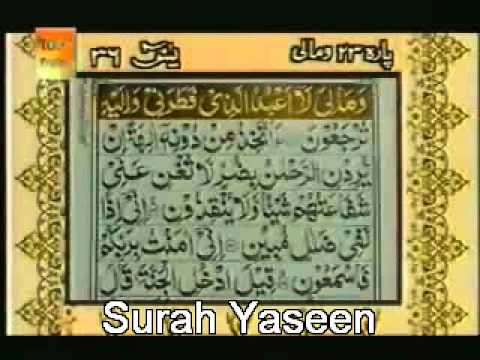 surah yaseen free download